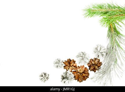 Green spruce twig with cones isolated on white Stock Photo