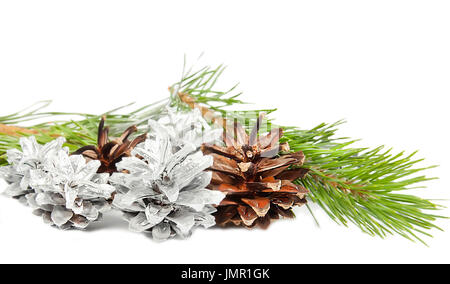 Green spruce twig with cones isolated on white background Stock Photo