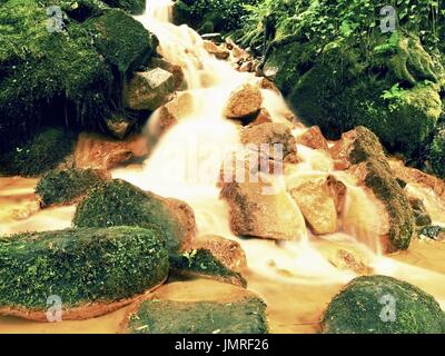 Cascades in rapid stream of mineral water. Red ferric sediments on big boulders between green ferns. Foamywater level. Stock Photo