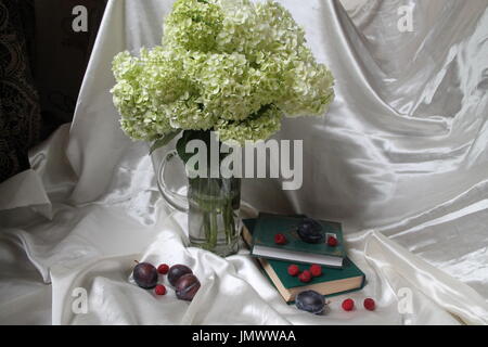 bouqet of white garden hydrangea flowers with green books and ripe plums and raspberry romantic style Stock Photo