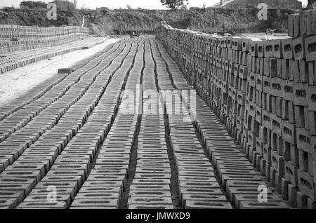 AMRITSAR, PUNJAB, INDIA - 21 APRIL 2017 : monochrome picture of bricks lined up to dry at a brick manufacturing facility in India Stock Photo