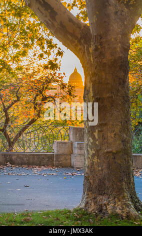 st peter´s basilica at dusk seen from pincian hill in villa borghese gardens, rome, lazio, italy