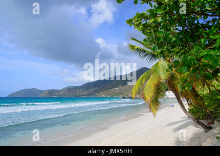 Sandy Beach and Palm Tree, Tortola Island, British Virgin Islands, Caribbean Sea Stock Photo