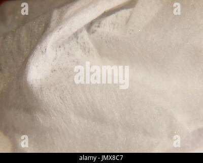 a white folded crumpled tissue wipe detail; England; UK Stock Photo