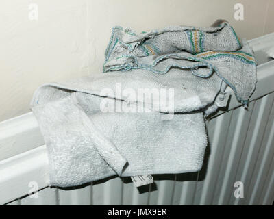 two recently washed tea towels dried on a radiator in house; England; UK Stock Photo