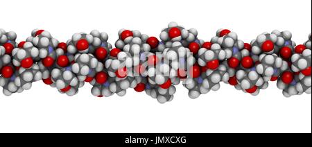 Collagen model protein, chemical structure. Essential component of skin, bone, hair, connective tissue, etc. Space-filling model with conventional colour coding. Stock Photo