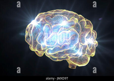 Human brain, computer illustration. Stock Photo