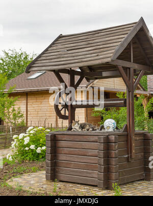 Cat sitting on wooden well outdoors in the back yard Stock Photo