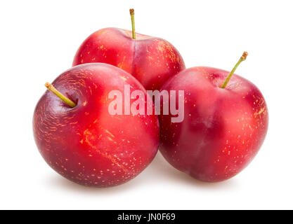 red plums path isolated Stock Photo
