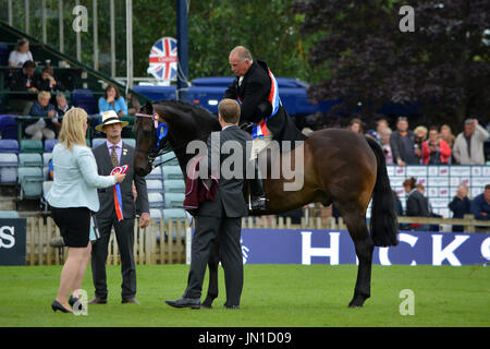 Royal International Horse Show, Hickstead, Sussex. 28th July, 2017. ALLISTER HOOD riding DIAMONDS ARE FOREVER winning the Saracen Horse Feeds Supreme Riding Horse Championship Credit: Tim Mander/Alamy Live News Stock Photo