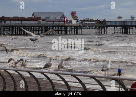 Blackpool Lancashire, United Kingdom. 29th July, 2017. High Tide at Blackpool seagulls on the rails in front of Central Pier Credit: David Billinge/Alamy Live News Stock Photo