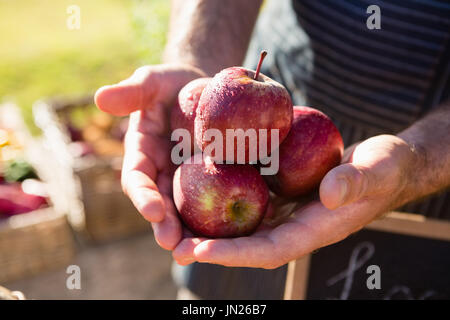 Mid section of farmer holding fresh apples Stock Photo