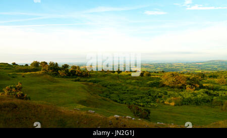 View looking NW across Bodmin Moor, late evening summer