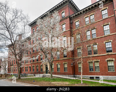 Cambridge, USA - April 29, 2015: Robinson Hall in Harvard Yard of Harvard University, Cambridge, Massachusetts, MA, USA. It is used as a classroom and Stock Photo