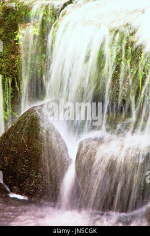 Small waterfall on small mountain stream, mossy sandstone block. Clear water is hurry jumping down into small pool. Stock Photo