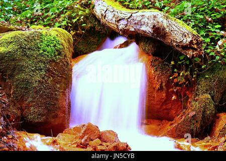 Cascades in rapid stream of mineral water. Red ferric sediments on big boulders between ferns Stock Photo