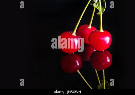 Red cherries on black isolated background at night. three cherries on a green branch Stock Photo