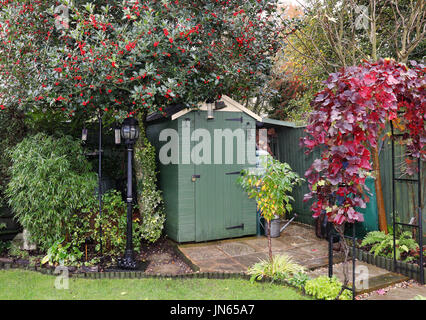 English back garden in Autumn with shed and log store Stock Photo