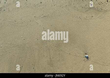 abstract fine art of nature carved pictures on the beach floor Stock Photo