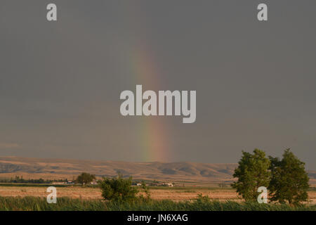 Rainbow and storm clouds over grain fields Stock Photo