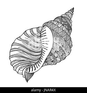 Seashell isolated on white background. HAnd drawn doodle vector illustration. Stock Photo