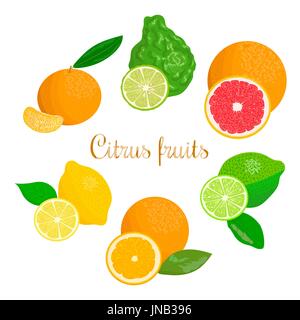 Collection of citrus products - orange, lemon, lime, bergamot, tangerine, grapefruit with leaves. Vector set of whole fruits and slices. for design, p Stock Vector