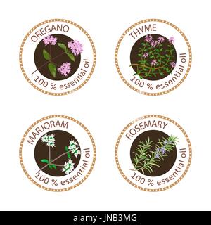 Set of essential oils labels. Oregano, Thyme, marjoram, rosemary Stock Vector