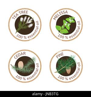 Set of essential oils labels. Pine tree, Cedar, Tea tree, melissa Stock Vector