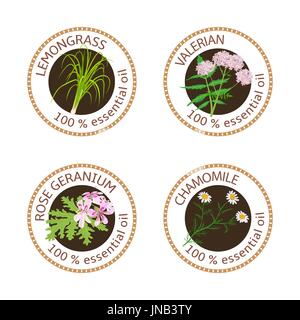 Set of essential oils labels. Rose Geranium, lemongrass, Chamomile, Valerian herb Stock Vector