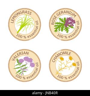 Set of essential oils labels. Rose Geranium, lemongrass, Chamomile, Valerian herb Stock Vector