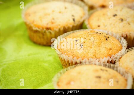 Homemade vanilla chocolate chips muffins Stock Photo
