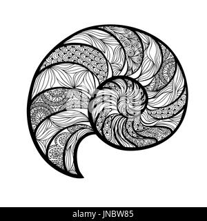 Seashell nautilus. Sea shell set ingraved vector illustration isolated on white background. Doodle sea shell. Marine life ornamental zentangle image Stock Photo