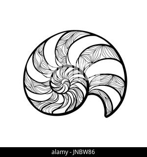 Seashell nautilus. Sea shell set ingraved vector illustration isolated on white background. Doodle sea shell. Marine life ornamental zentangle image Stock Photo