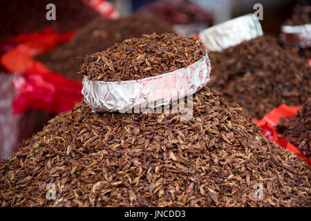 Fried insects vendor in Oaxaca, Mexico Stock Photo