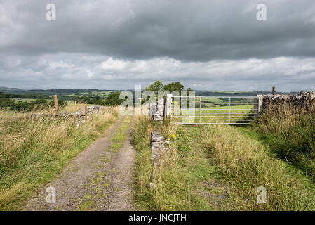 Farm track and field gate in the English countryside. Stock Photo