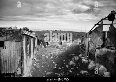 Palestinian Bedouin tribe village, east of Jerusalem, West Bank, December 10, 2010. Bedouins sustain nomadic lifestyle, live in tents and breed goats. Stock Photo