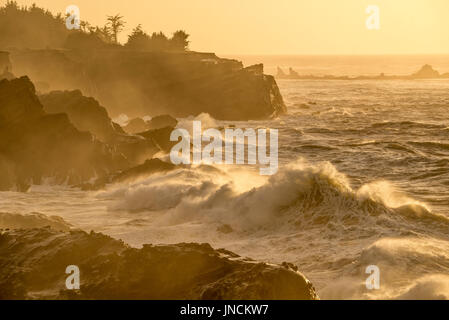 Waves crashing on the rocks at Shore Acres State Park, southern Oregon coast. Stock Photo