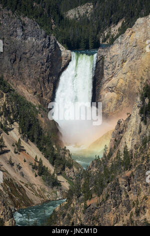 Lower Falls of the Yellowstone River, with rainbow at base of the falls, from Artists Point, Yellowstone National Park, Wyoming.