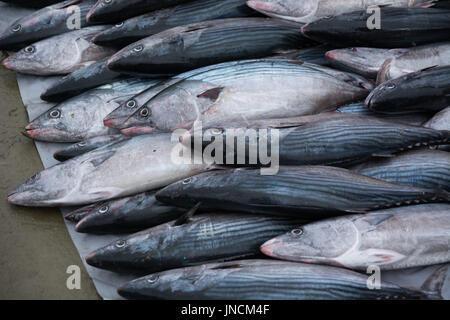 Fishing Market at Puerto Lopez, Ecuador Stock Photo