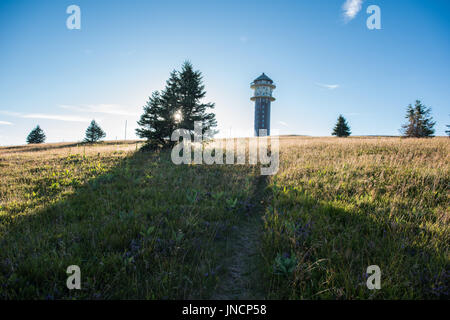 Feldbergturm black forest germany