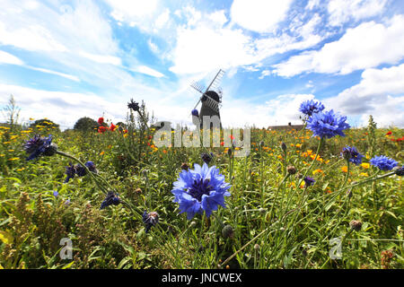 Warm weather at Whitburn Windmill in Sunderland. Stock Photo