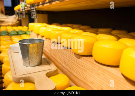 Cheese wheels on wooden shelves. Platter for cheese degustation. Different sort of farm made cheese. Stock Photo