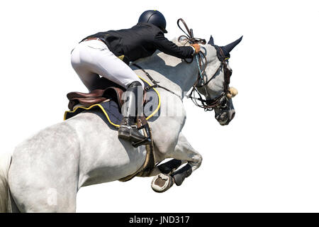 Equestrian Sports, Horse Jumping Event, Isolated on White Background Stock Photo