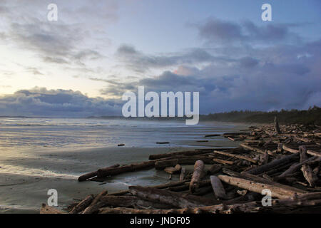 Wickaninnish Beach in the Pacific Rim National Park Reserve near Tofino, British Columbia Stock Photo