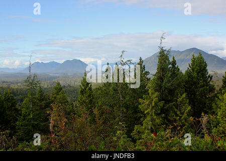 View of the rainforest from Radar Hill near Tofino, on Vancouver Island in British Columbia Stock Photo