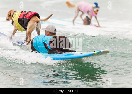 Imperial Beach, CA, US. 29th July, 2017. Surfdog returns to Imperial Beach for the twelfth year.Koa surfing. Credit: Daren Fentiman/ZUMA Wire/Alamy Live News Stock Photo