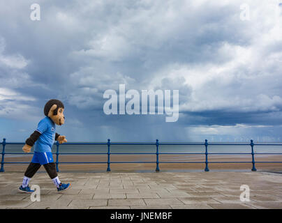 A woman walking her dogs on the beach on a windy day. UK Stock Photo