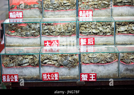 Crabs on in plastic boxes on Chinese seafood market, Beijing, China Stock Photo