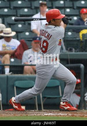 Taguchi hits HR in 9th for St. Louis win