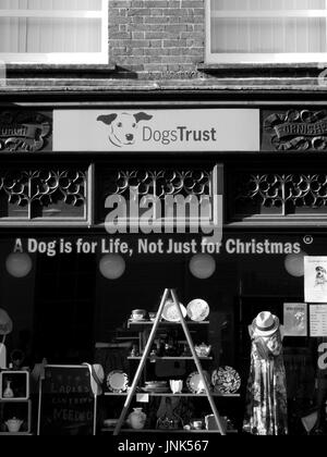dog trust shop
